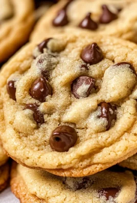 Chocolate Chip Pudding Cookies